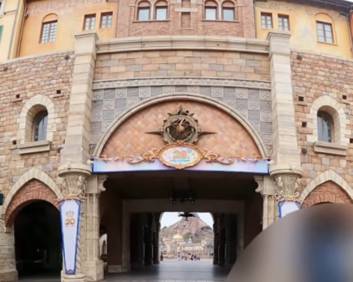 「初めて見ました」東京ディズニーシーに“15分早く”入園→待っていたのは……　夢のような光景に「何回見ても涙が」「プロモーション映像みたい」（1/3） | ディズニー ねとらぼ