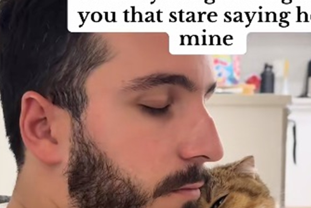 彼氏が愛猫を抱っこすると……「彼は私のものだけど何か？」　まさかの表情と視線が260万再生【海外】（1/3） | 猫 ねとらぼ