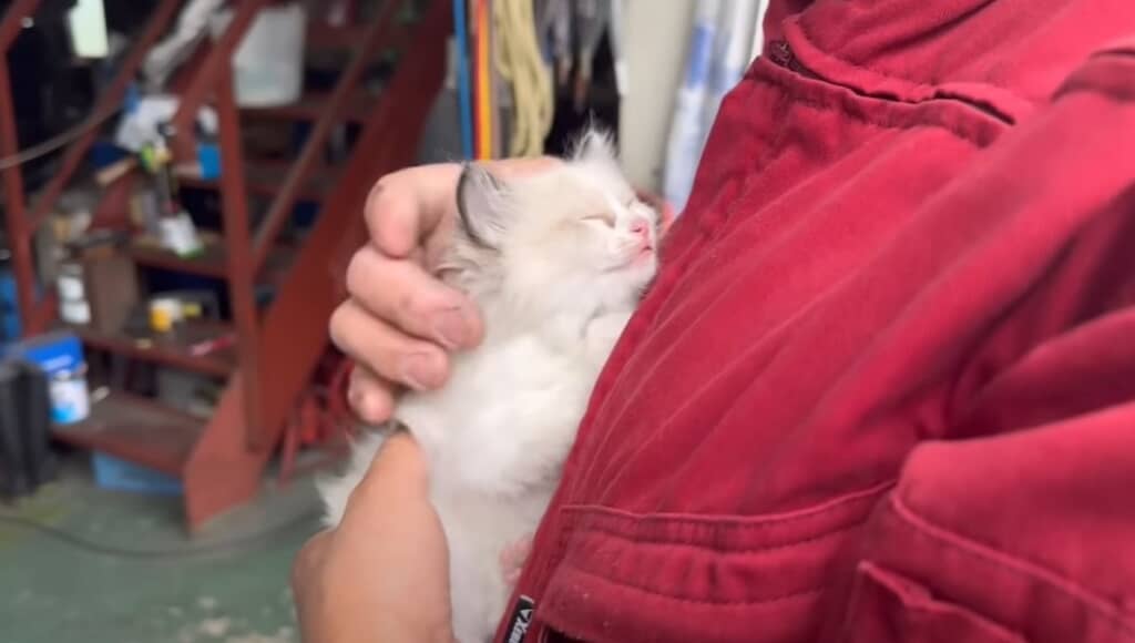 すっかり懐いています