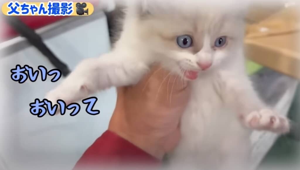 妻が来る前の様子（夫撮影）