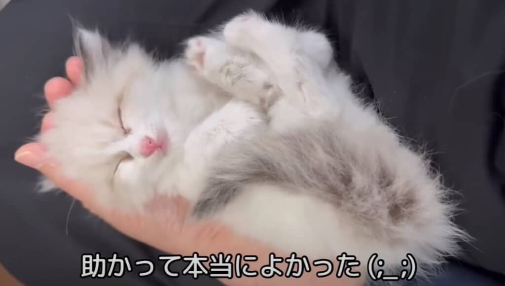 助かって良かったです