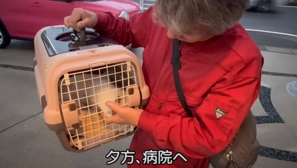 夕方病院へ