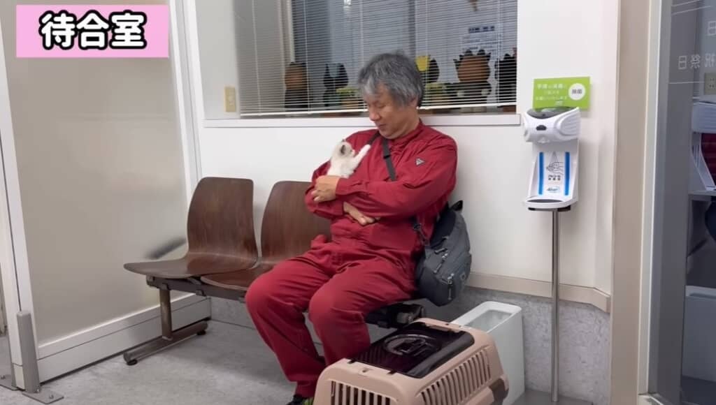 キャリーに入れず抱っこしています