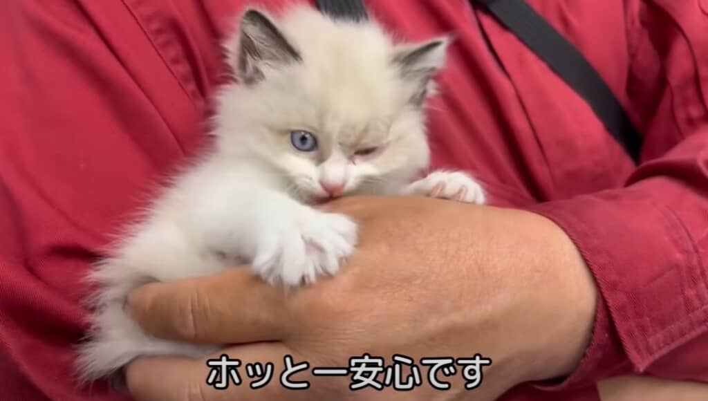 一安心です