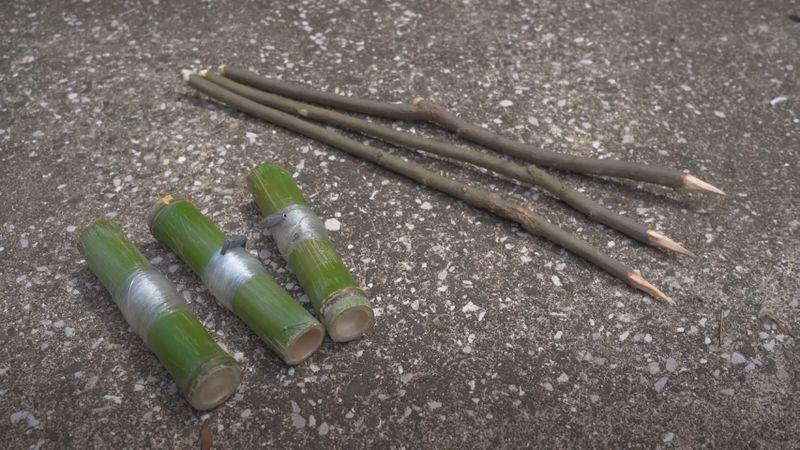 竹筒と先端をとがらせた木の棒