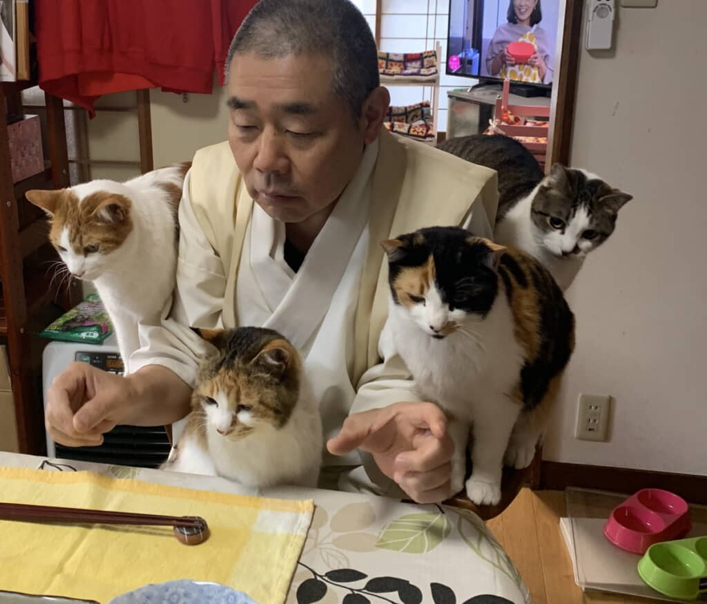 にょきにょき猫ちゃんが！