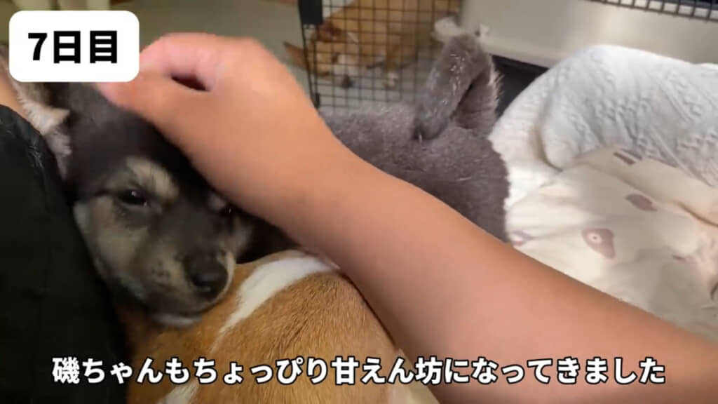 磯ちゃんも少しずつ甘えてくれるように