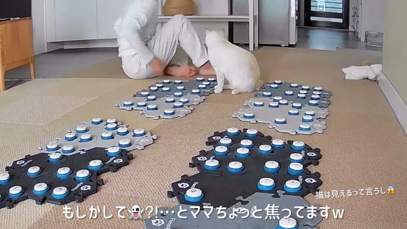 立ち上がって確認しようとする飼い主