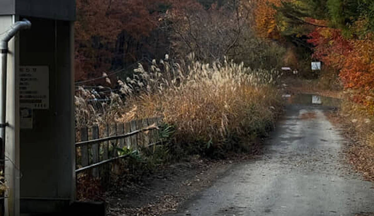 「どこだ？」「まじで？」　山奥にポツンと残された秘境駅が410万表示　東京まで乗り換えなしで行けたってマジか！（1/2） | 電車 ねとらぼ