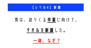 ウミガメのスープの問題