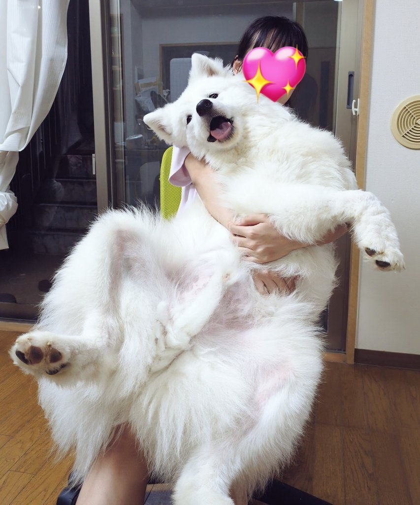 生後9カ月にしてこのビッグサイズ！