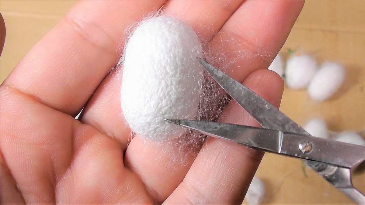 なかなか羽化しないカイコの繭（まゆ）を切ってみたら……ヤバすぎる中身に反響「こんなシーンが見られるなんて！」「初めて知りました」（1/3） | その他生き物 ねとらぼ