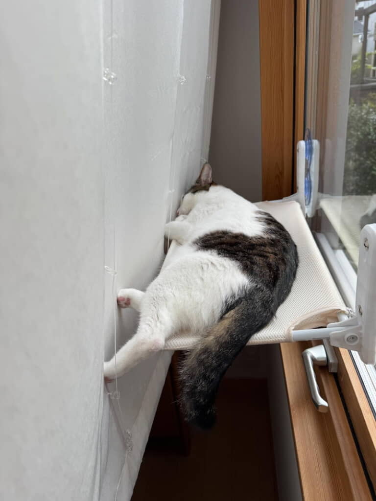 すやすや気持ち良さそうですね