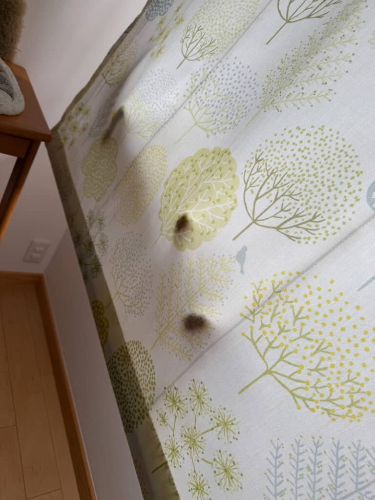 シルエットもたまらない