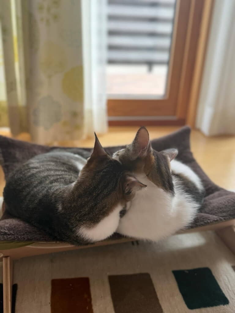 さっきまでケンカしていたのに……