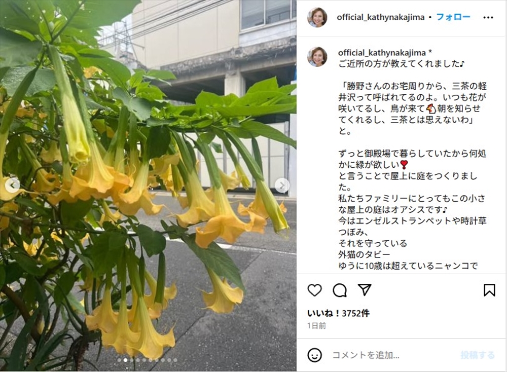 キャシー中島、勝野洋夫婦の自宅の屋上庭園