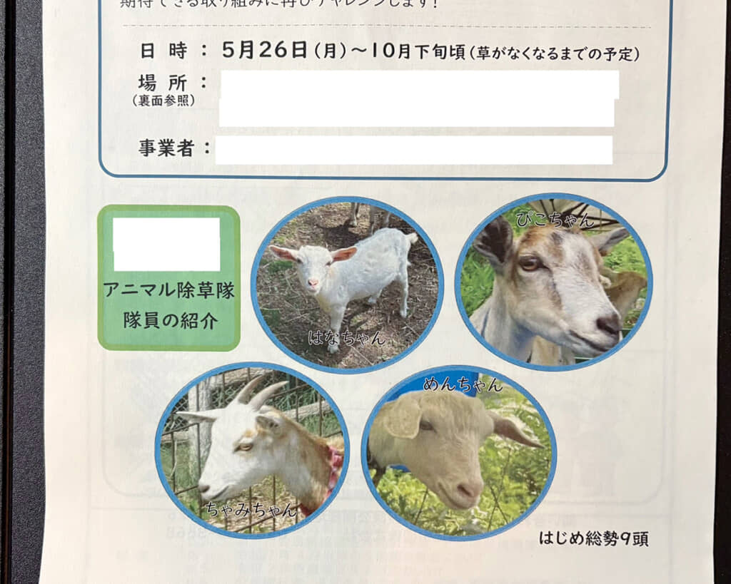 アニマル除草隊!?