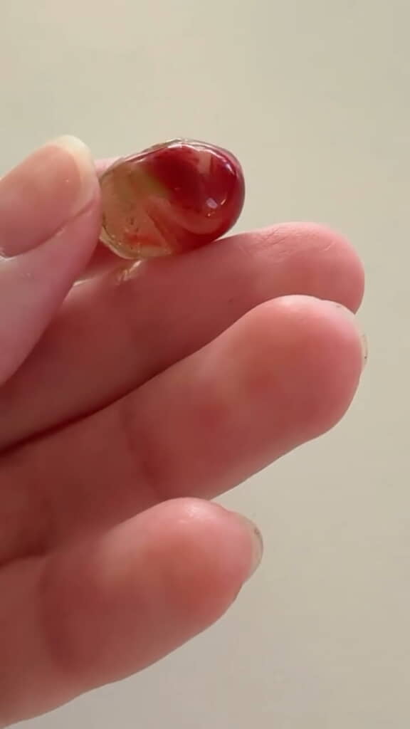 ちゅるんとしています