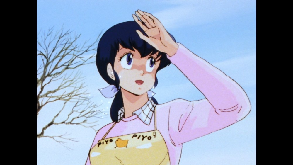 「めぞん一刻」（C）高橋留美子／小学館