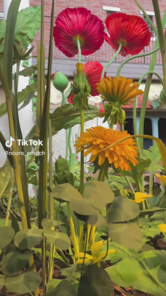 大きな植物が立ち並ぶエリア