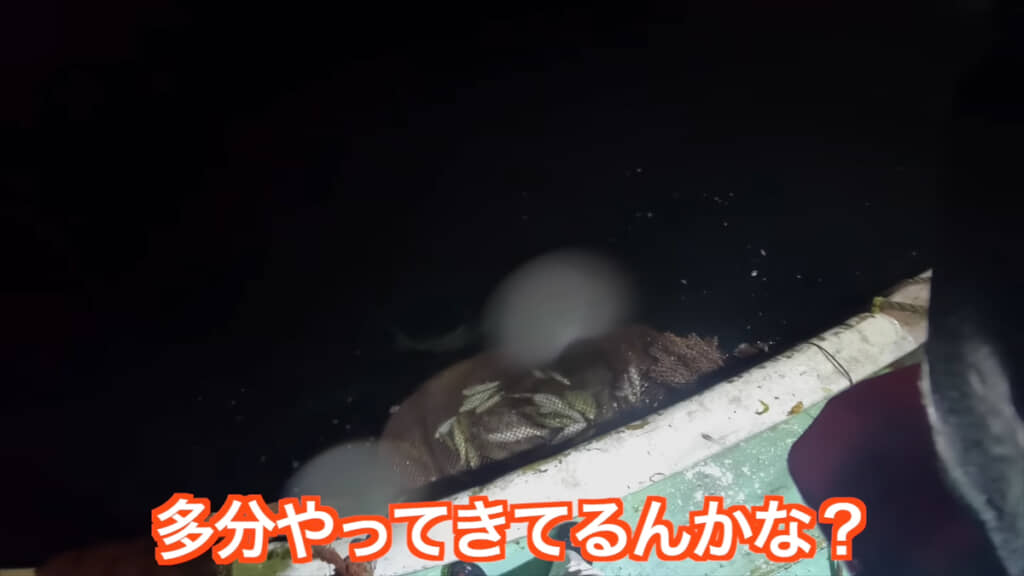 おこぼれ狙いのハマチがやってきました