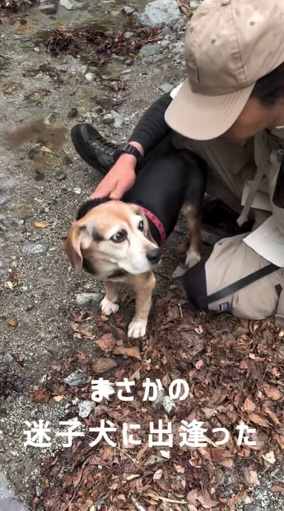 目線を合わせてなでてあげる