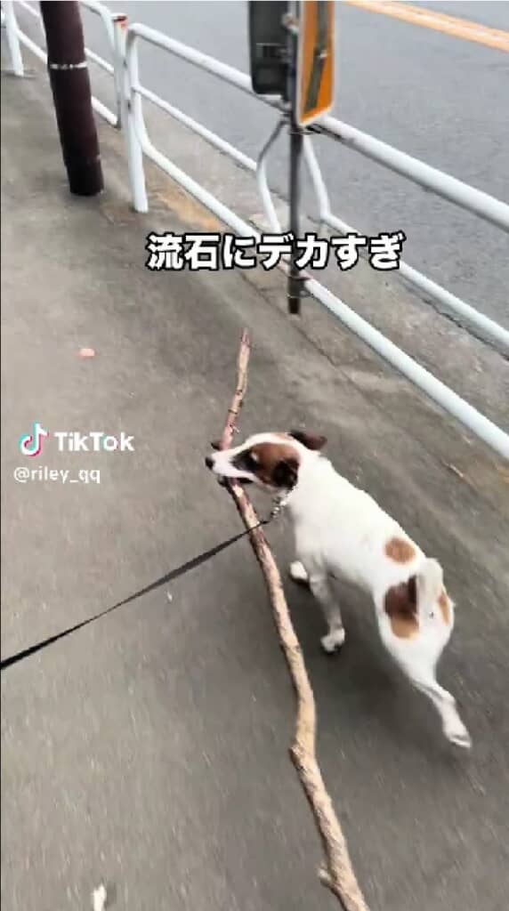 長すぎません？