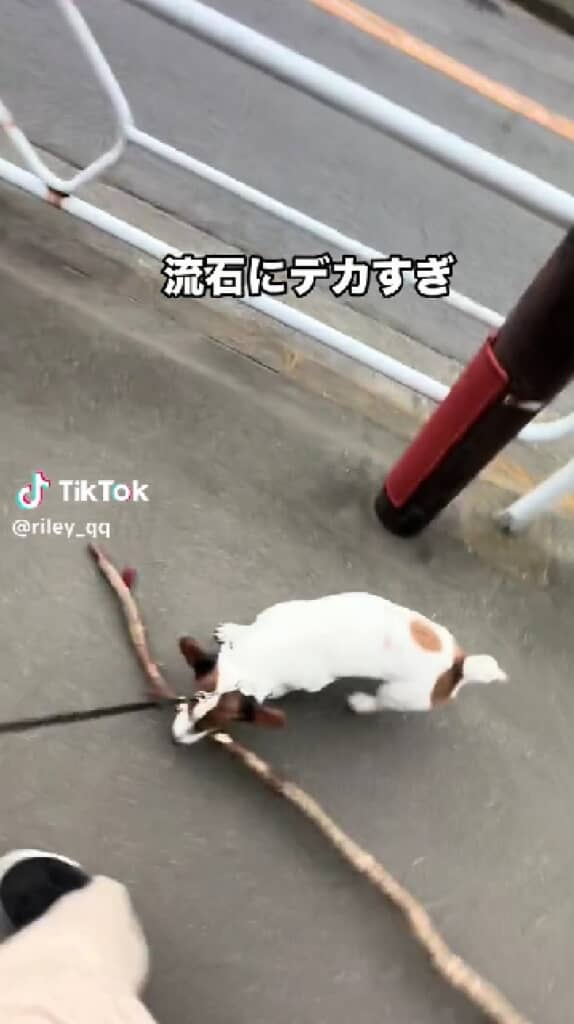 棒を置いてしまいます