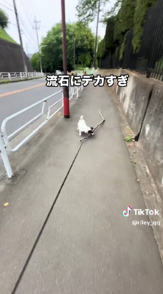 どうしても持って帰りたいんだね