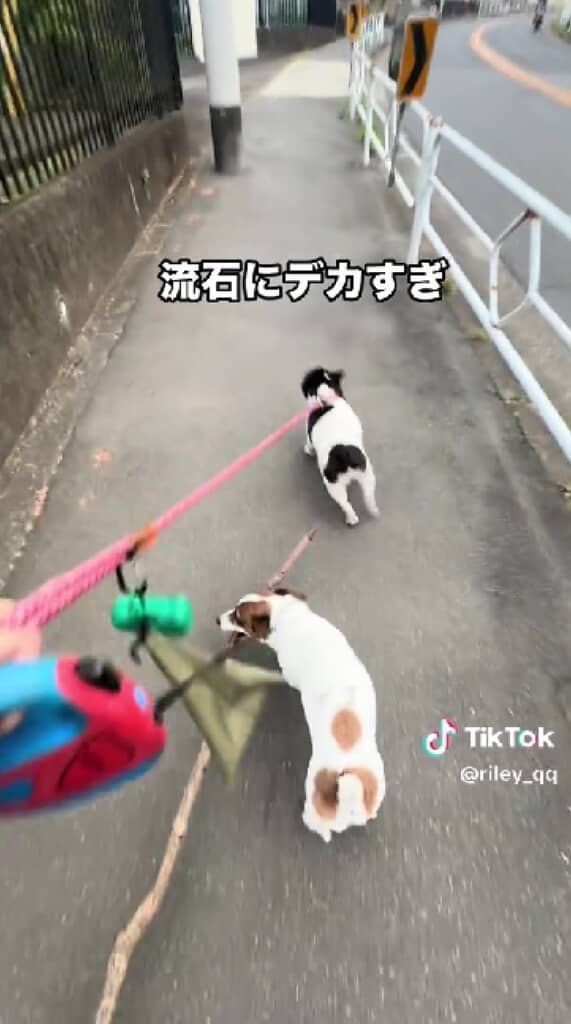 持ちにくそう……