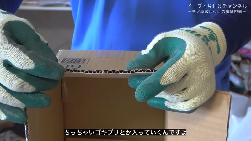 ゴキブリが入れる段ボールの隙間