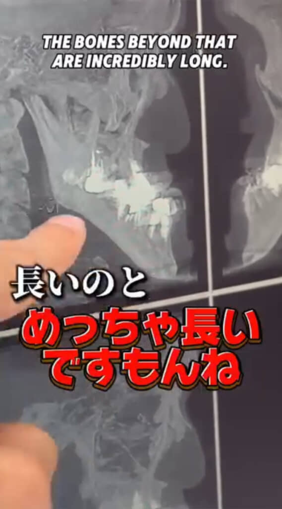 先生も興味深そうな反応