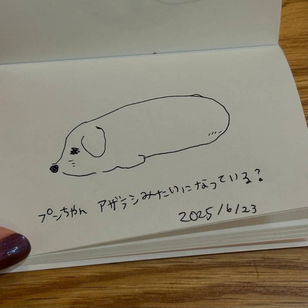 おかぴさんが描いたゆるいプンバァちゃん