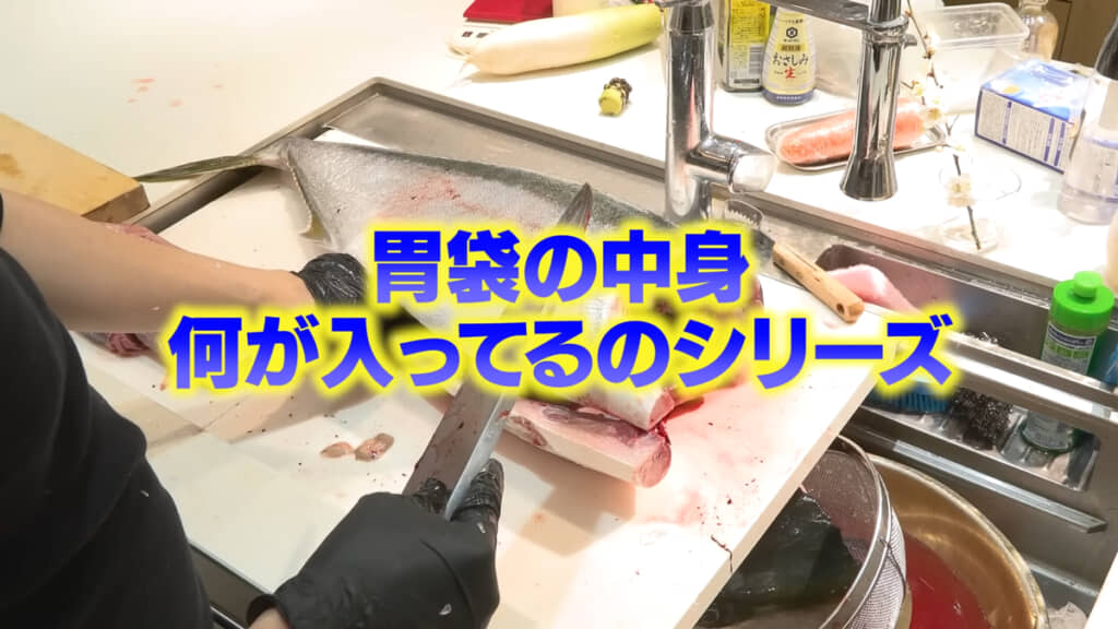 胃袋の中身は……