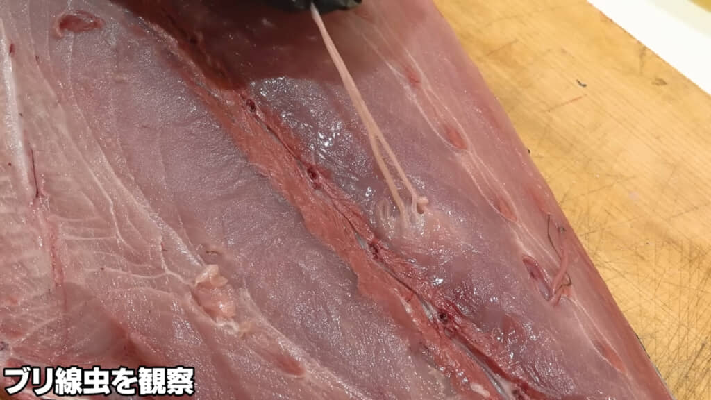 何やら長い寄生虫が……！！