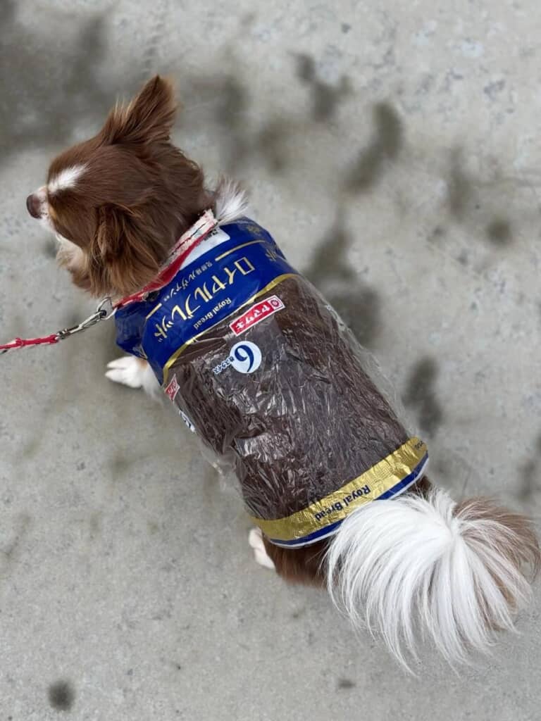 おしゃれに見えるパン袋のパッケージ