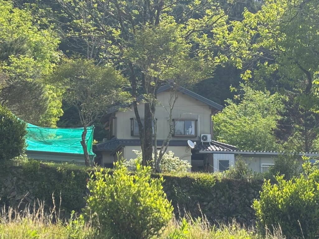 熱烈なお見送り