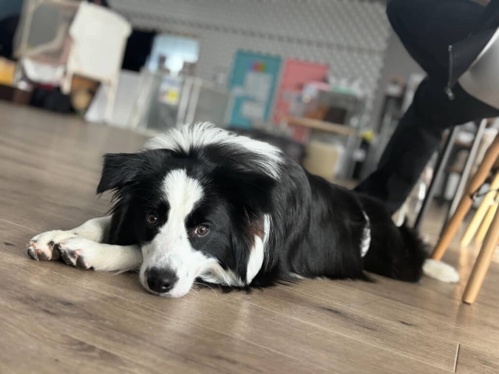 そのお顔は反則
