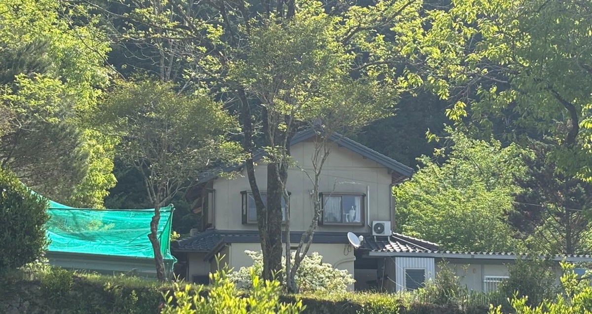 「朝バイト行くって時にこんなんされたら即帰りたくなる」　振り返った自宅をよく見ると……「あははは」「涙が出てしまう」（1/3） | 犬 ねとらぼ