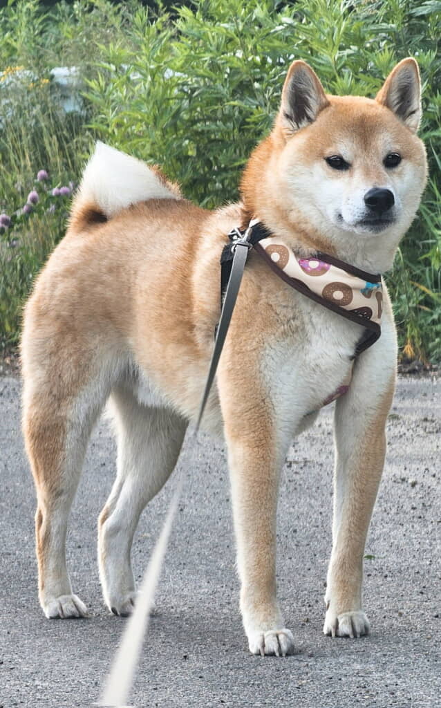足、長い！