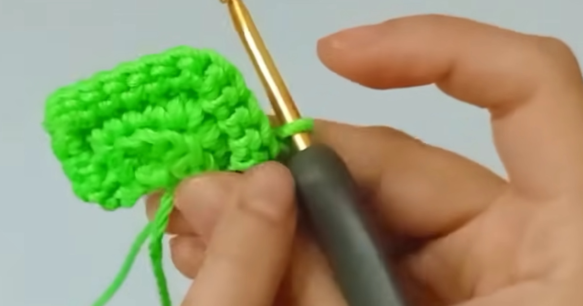 かぎ針で、糸を小さな輪から編み進めると……　“高級感ただよう完成品”が59万再生　「なんてかわいいんでしょう」「私も作ってみます」【海外】（1/2） | ライフスタイル ねとらぼ