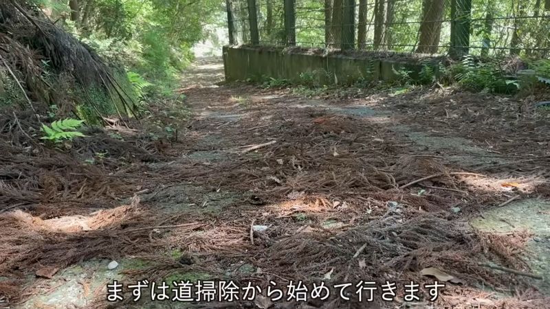 落ち葉が大量に堆積している水槽までの道