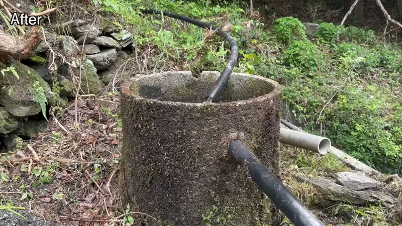 すっきりした清掃後の水槽