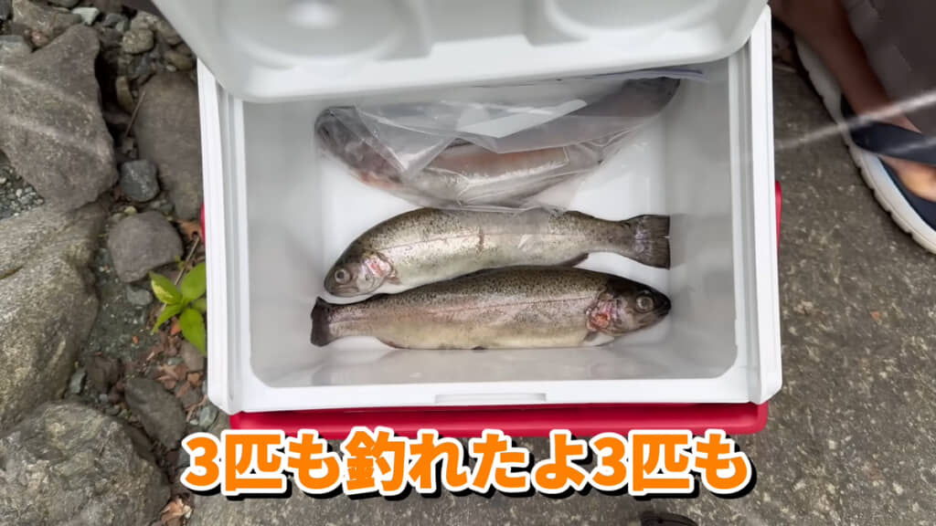 3匹のニジマスを釣ることに成功しました