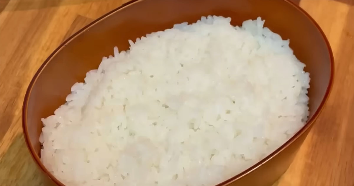 妻がまさかの高熱→夫が頑張って弁当を作ったら……「まってまってまって！」　驚きの完成度で「ジブリに出てきそう」（1/3） | グルメ ねとらぼ