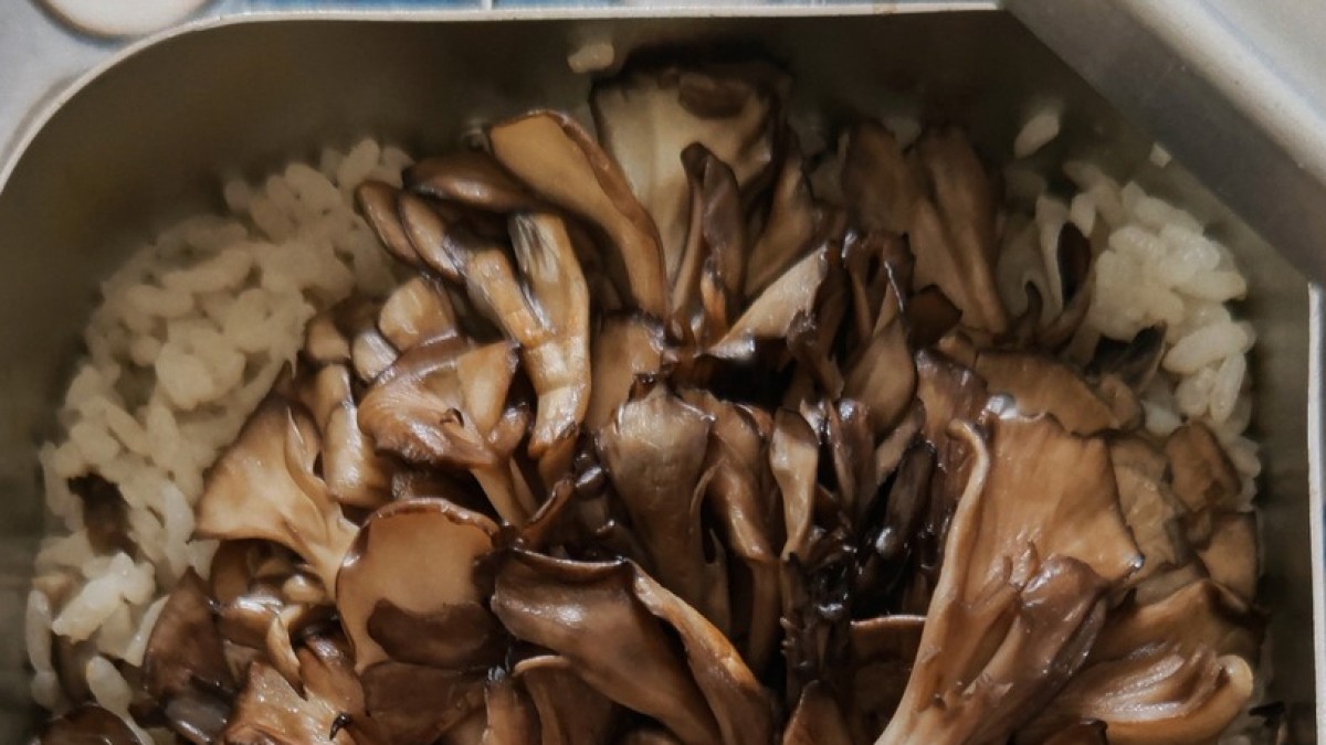 “前衛弁当作家”が「まいたけ」で作ったのは……　“爆笑と尊敬”の完成品に「蓋開けたら絶対吹き出すヤツ」「スッゲーええええ」　（1/2） | グルメ ねとらぼ