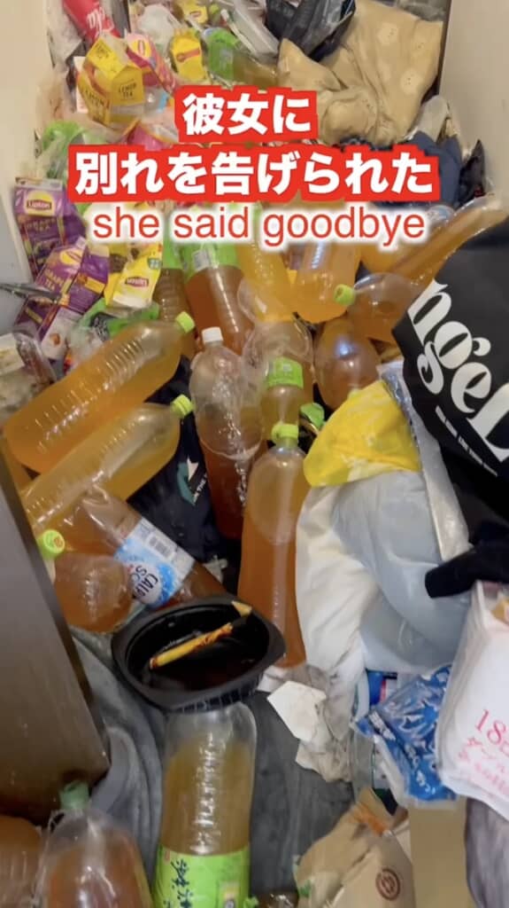 玄関を開けるといきなりこれ