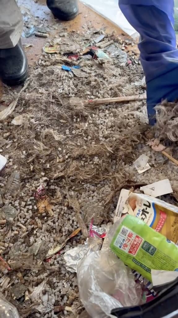 これはいったい……？