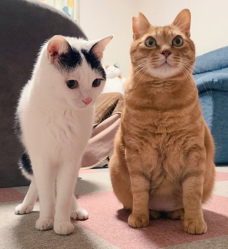 ふたりはとっても仲良し
