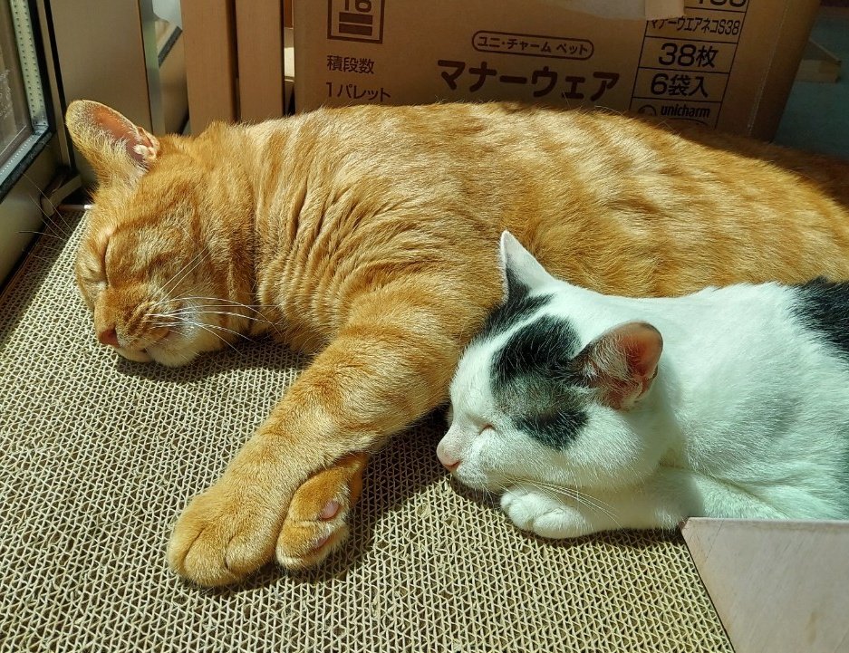 いつまでもお幸せに
